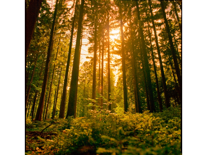 natur-23